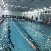 Первенство города Лыткарино по плаванию среди спортсменов младшего возраста 1