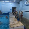 Первенство города Лыткарино по плаванию среди спортсменов младшего возраста 19